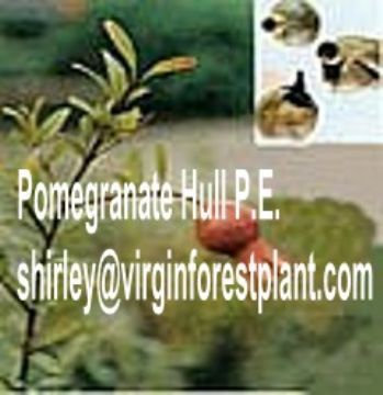 Pomegranate Hull P.E. (Shirley At Virginforestplant Dot Com)